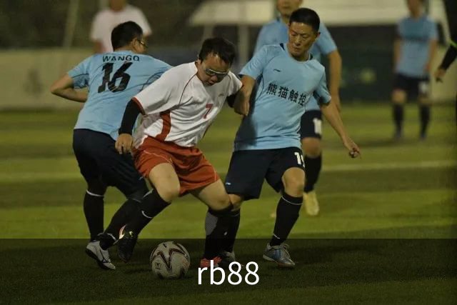 rb88公司简介图片